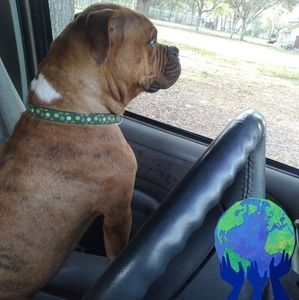 Meet your Posher, Cathy